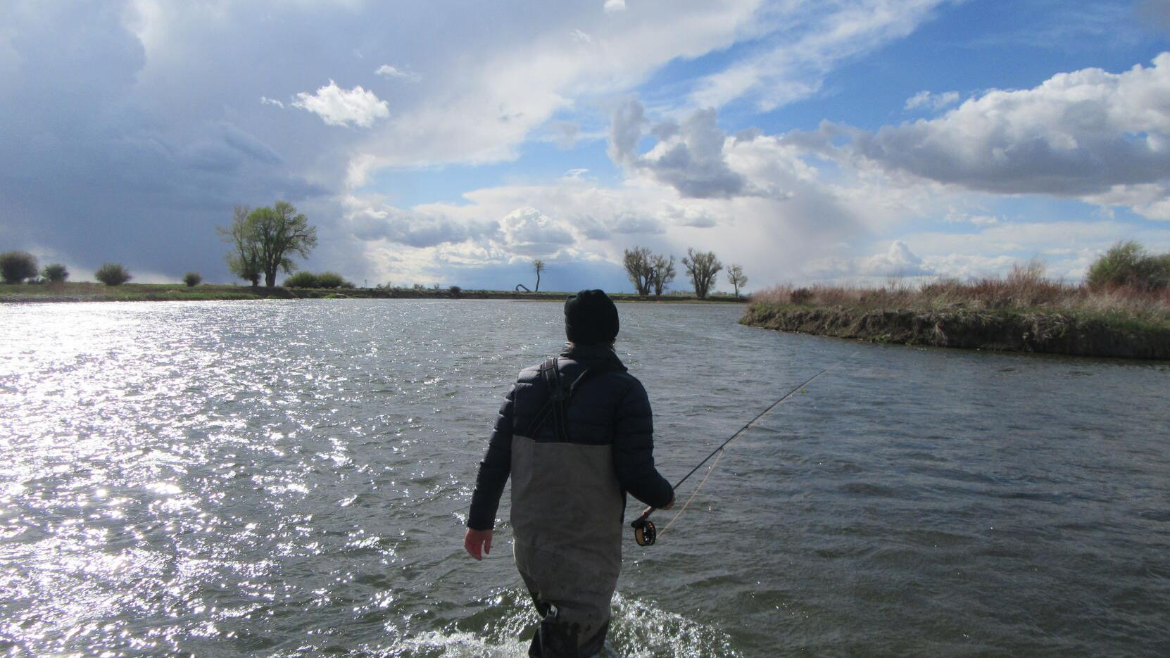 States need consistent federal partners in fish and wildlife management